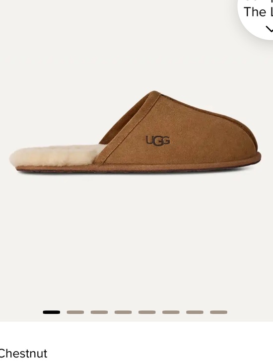 UGG Shoes - UGG Chestnut Suede Slide Slipper with Shearling